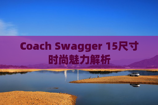 Coach Swagger 15尺寸时尚魅力解析